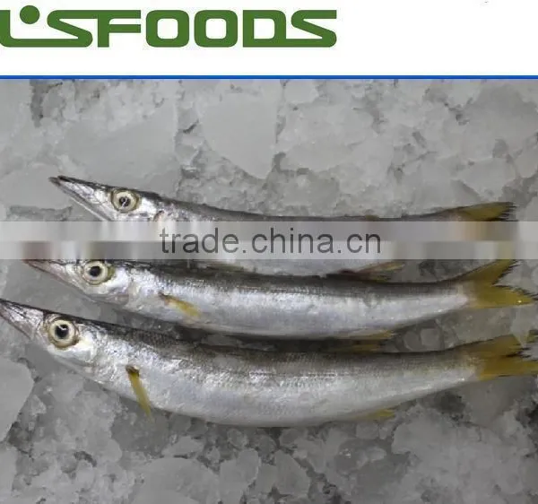 2015 Frozen Pacific Saury From China photo-4