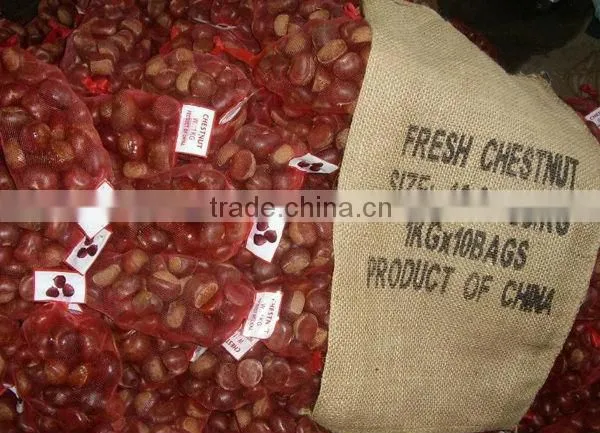 Hot Selling Big Size Chinese Chestnuts--Tai an Chestnuts photo-6