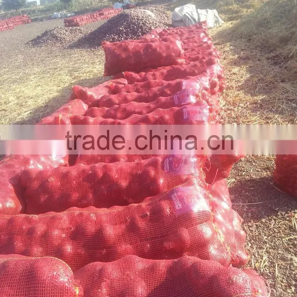 Fresh Yellow Onion Exporters in Egypt photo-5