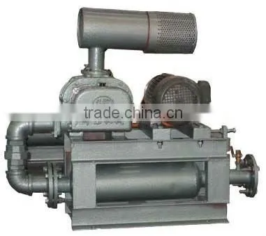 Compact Roots Blower