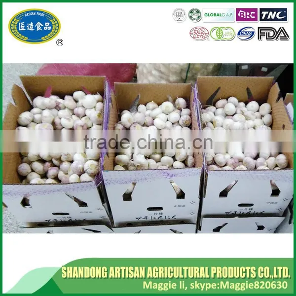 Low Price Fresh Solo Garlic photo-5