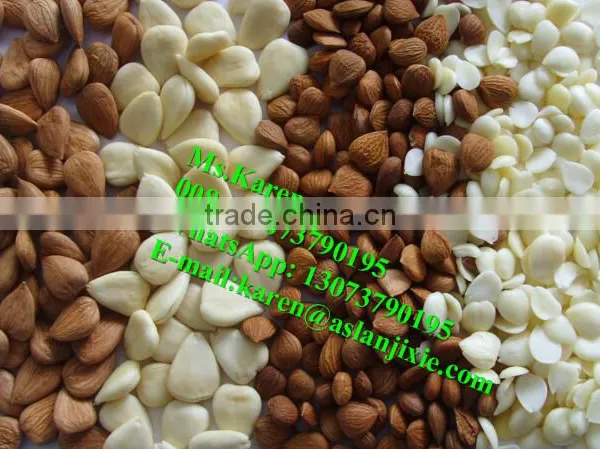 Almond Shell Removal Machine /almond Sheller/almond Shelling Machine photo-4
