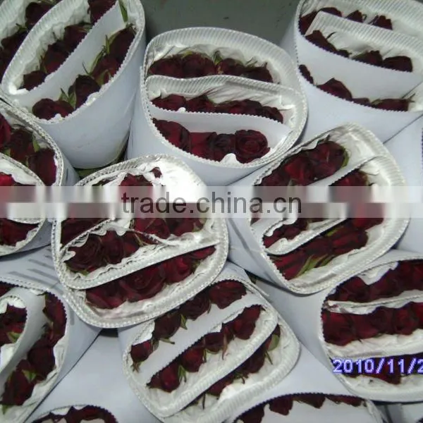 Wholesale High Grade Fresh Cut Black Rose Flowers From Kunming Plants Base photo-4