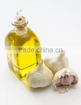 GARLIC OIL BP GRADE photo-3