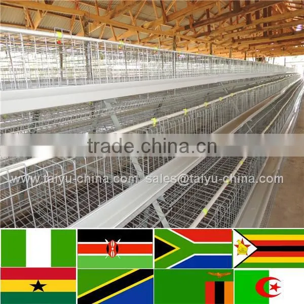 Trade Assurance NO.1 Design 50000 Chicken House 4tier Poultry Cage photo-3