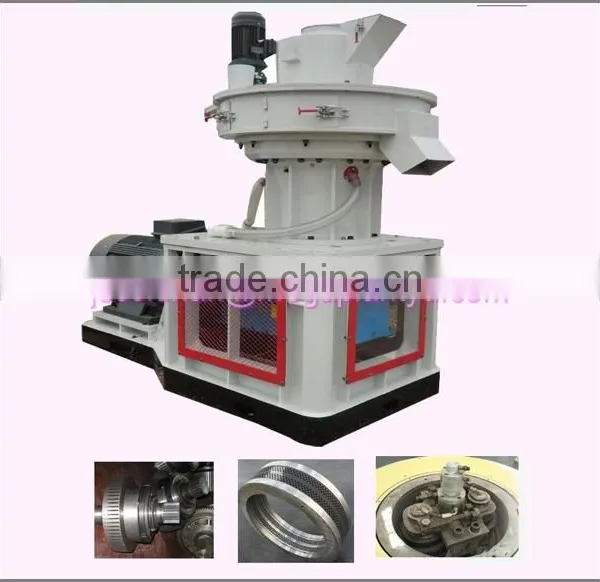 China Factory Price 6mm Wood Pellet Mill Machine for Sale
