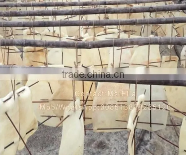 Stainless Steel Fresh Meat Beef Skin Peeling Machine photo-5