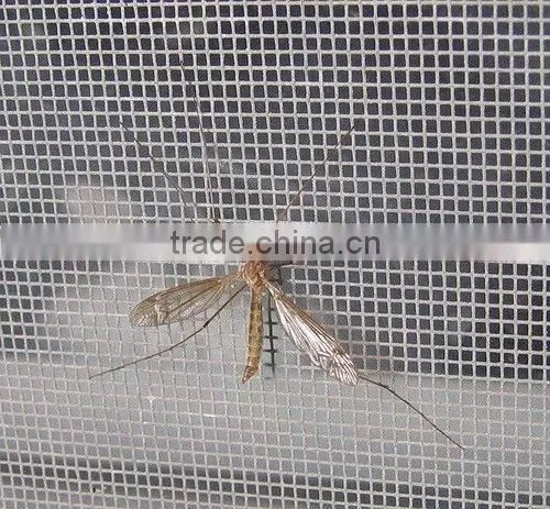Insect Screen