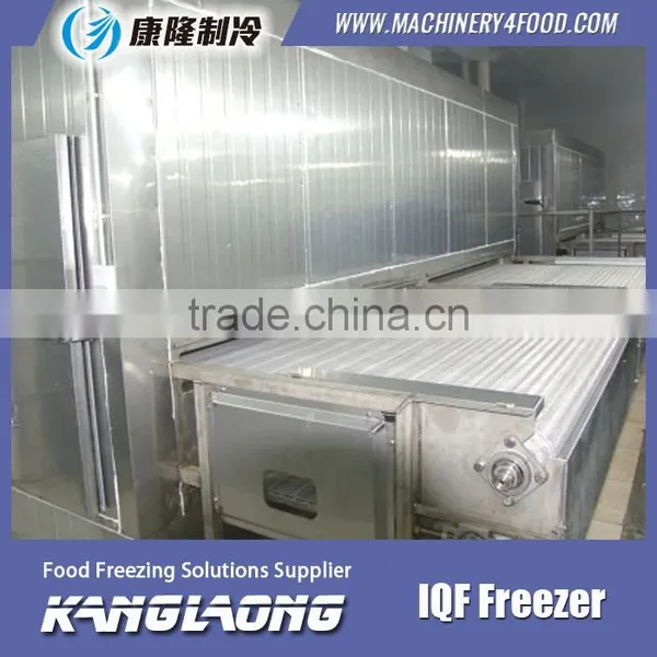 Large Output Freezing Plant With Good Quality photo-3