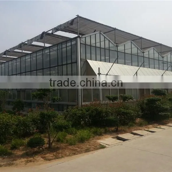 Light Steel Structure Multi Span Glass Greenhouse for Modern Agriculture photo-3