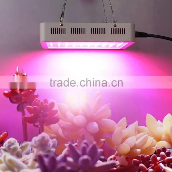 Plant Grow Light for Flowering Plant Vegetables, Energy Saving Downlight Plant Light for Indoor Hydroponic Garden Greenhouse photo-2