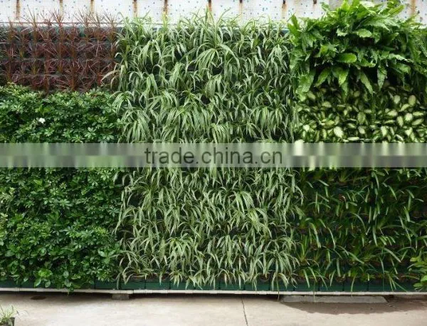 PV290 Plastic Green Wall Container,vertical Wall ,Automatic Irrigation,indoor and Outdoor photo-2