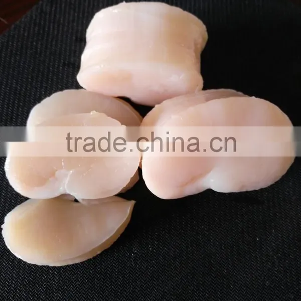 Frozen Sea Scallop in Good Quality no Chemical Treated photo-3