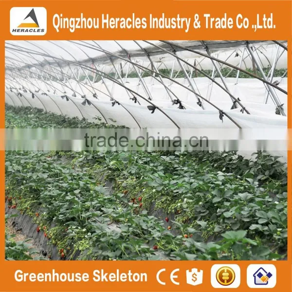 Heracles Trade Assurance Mini Grow Tent photo-6