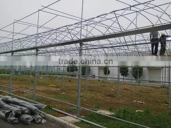 Commercial 200 Micron uv Resistant Plastic Film Greenhouse photo-2