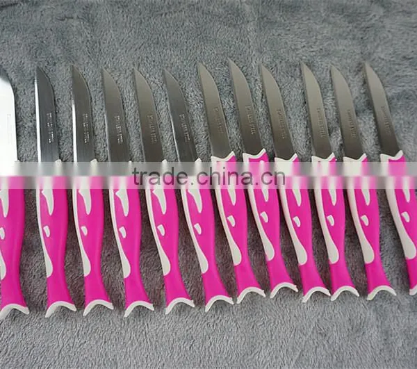 51010 12PCS STAINLESS STEEL Fruit Knife Set photo-5