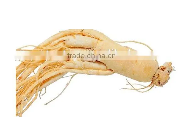 Chinese Ginseng Slimming Tea 2g *20 Bags /box Green Tea With Ginseng Slimming Tea Bags OEM to USA England Canada Australia photo-4