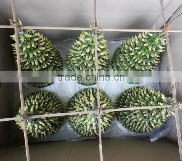 Lucky Bamboo ( Dracaena Sanderiana) photo-3