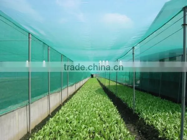 PE ANTI-INSECT NET UV TREATED,LONG LIFE