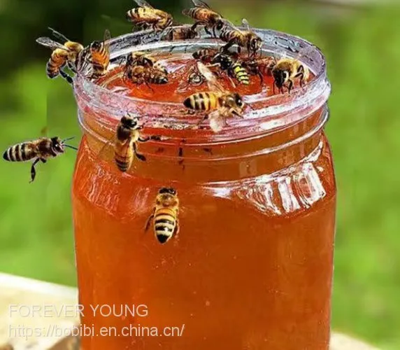 Honey photo-3
