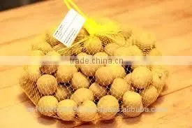 Longan Fruit photo-2