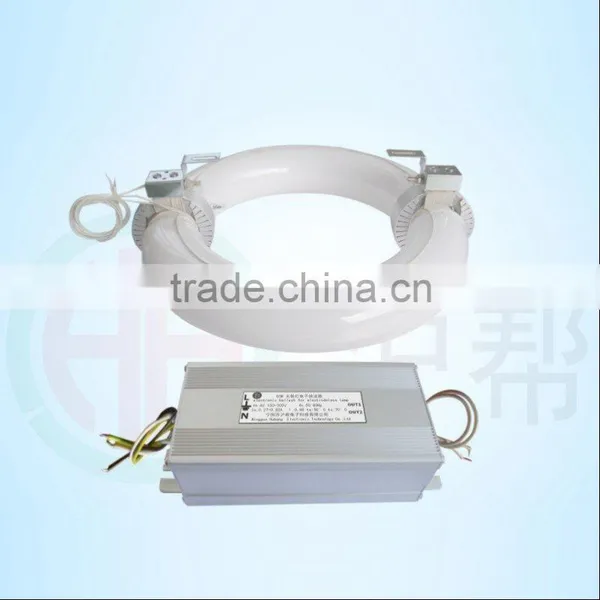 NEW Technology Electronic Ballast 80W Induction Lamp Energy Saving