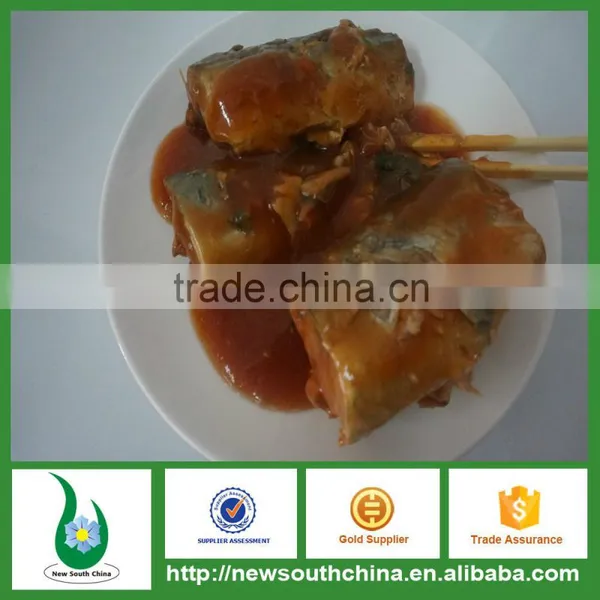 2016 China Canned Mackerel Fish Food in Tomato Paste photo-2