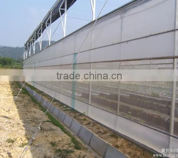 High Quality Greenhouse Anti Insect Mesh Netting photo-5