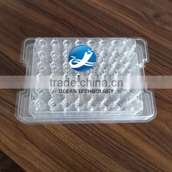 Thermoforming Packing Plastic Thermoforming Packing photo-4