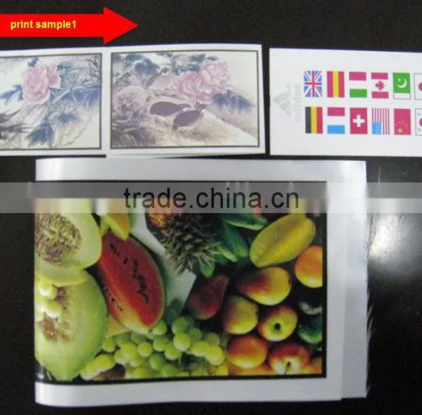 Automatic Flexo Fabric Label Printing Machine photo-4