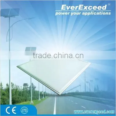 EverExceed New Arrival 18W ~ 48W Ceiling Panel LED Light photo-2