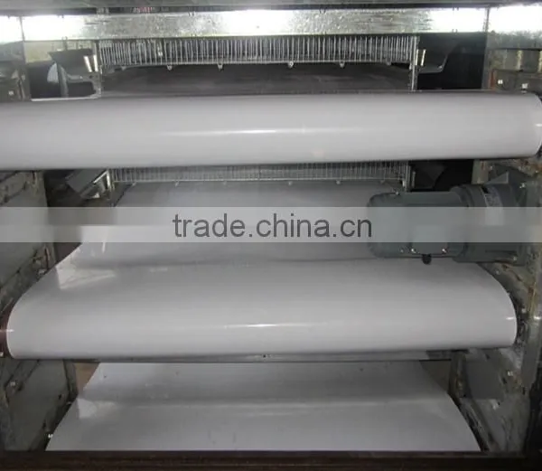 pp Manure Conveyor Belts Poultry Farm photo-3