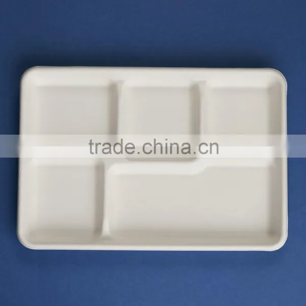 TY-06 12"x8" 5 Compartments Disposable Food Sugercane Tray photo-3