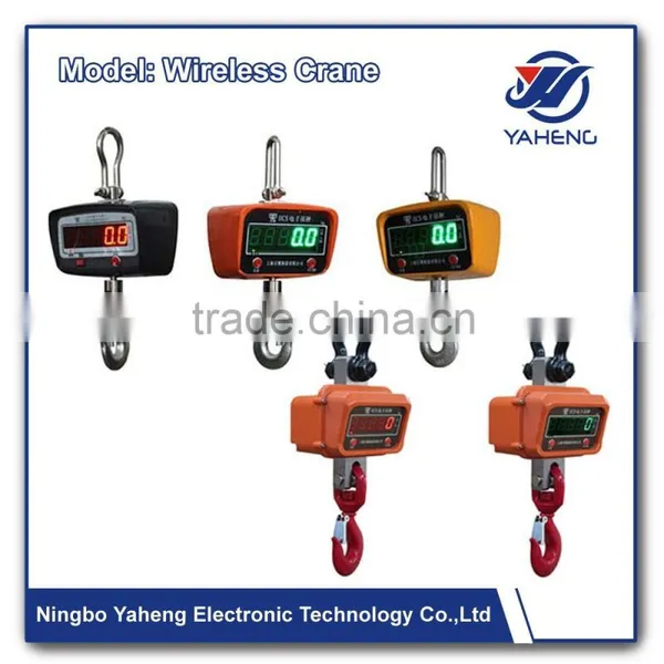 Electronic Weighing With Crane Scale Load Test System E3 Electronic Weighing With Crane Model photo-4