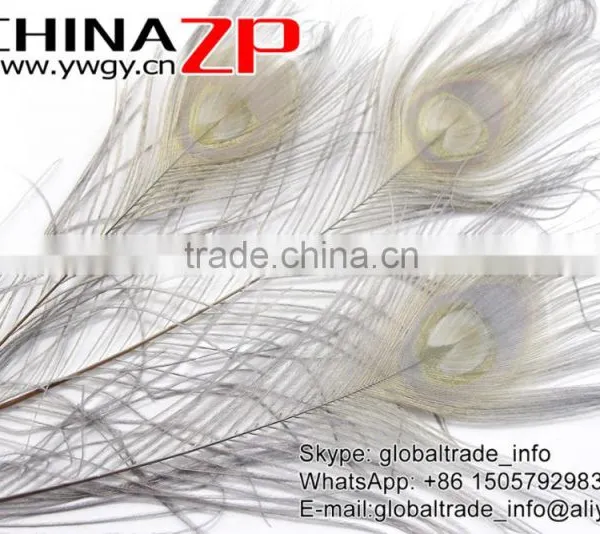 CHINAZP Leading Supplier Wholesale Cheap Full Eye Dyed Grey Long Peacock Tail Feathers photo-4
