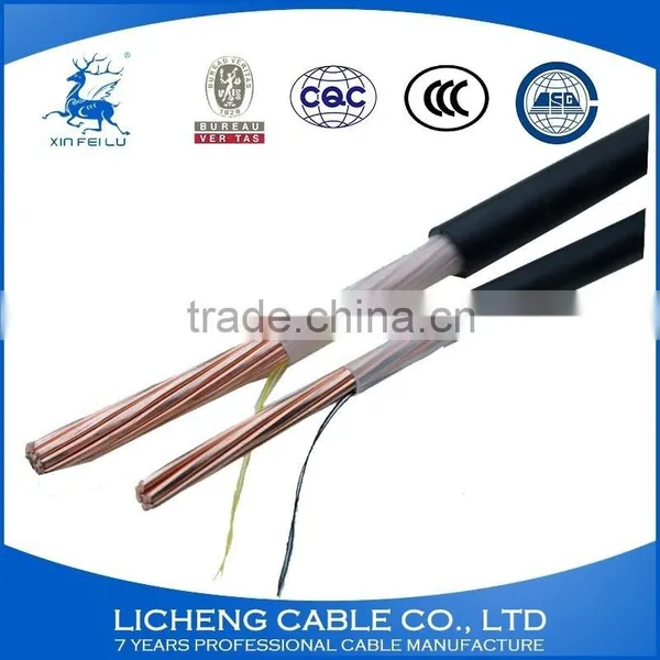 Best Quality FZ-VV25mm2 PVC Insulated and Sheathed Branch Cable photo-4