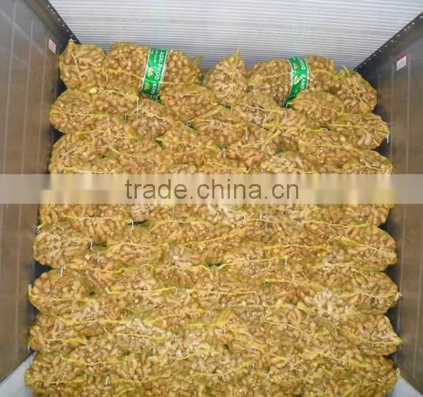 China Dry Ginger Export to Many Countries photo-4