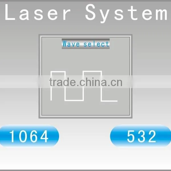 Brown Age Spots Removal Nd Yag Laser Tattoo Removal Equipment Long Pulse Laser For Fungus Toe photo-2