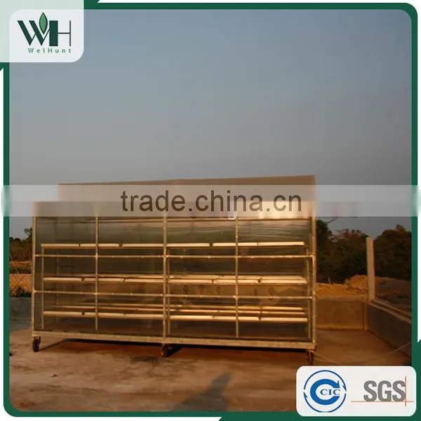 Vietnam Pure Natural Black Pepper 550gl 500gl for Extract photo-5