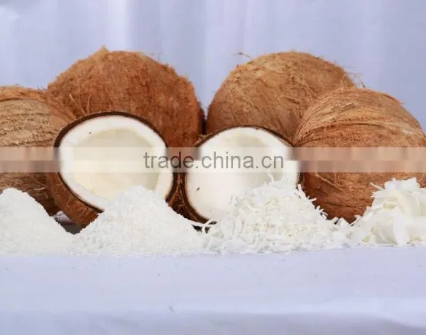 DESICCATED COCONUT HIGH FAT FINE GRADE - Premium Quality photo-2