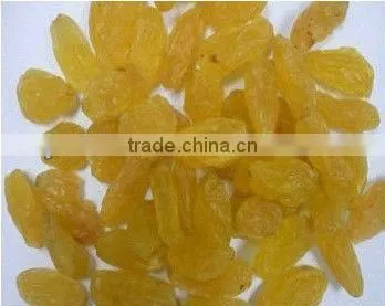 Industrial Tunnel Conveyor Belt Type Raisins Drying and Sterilizing Microwave Oven photo-2