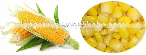 Hot Sale Fresh Corn Thresher Machine photo-6
