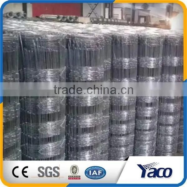 Hot Sale Metal Fence T Post For Farming photo-6