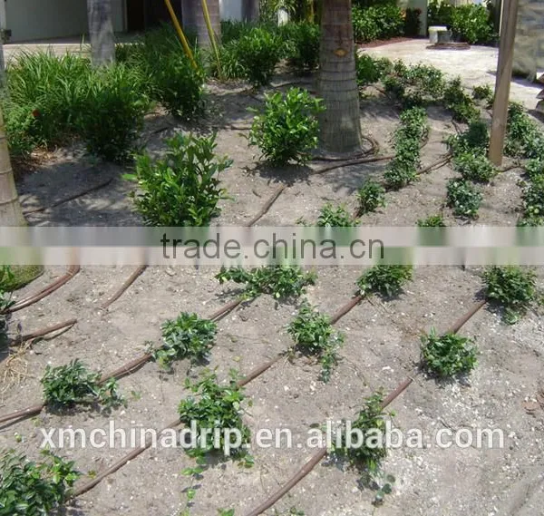 Chinadrip Selected Material Micro Drip Tape Drip Irrigation System photo-3
