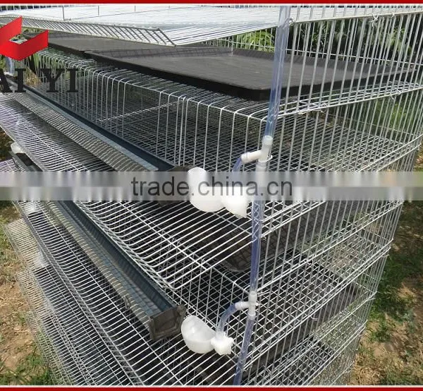 High Quality Assemble Quail Cage photo-5