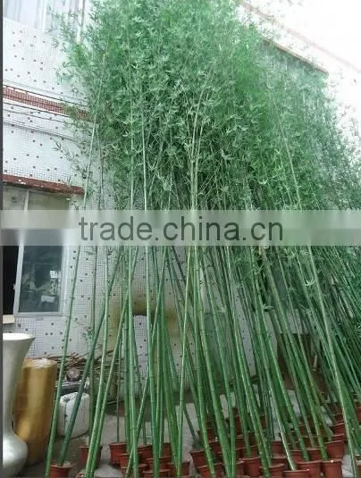 SJWS2015032404 Guangzhou Manufacturer Whole Sell Customized Garden Decoration Artifcial Fake Bamboo Tree photo-4