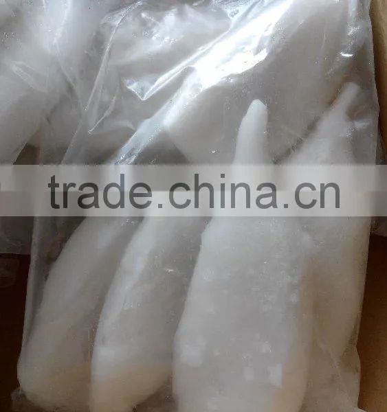 Frozen Tordarodes and Argentina Squid Tube U10,U5 photo-3