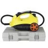 Steam Cleaner