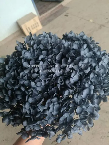Hot Sale Natural Preserved Hydrangea Flowers for Events Decor