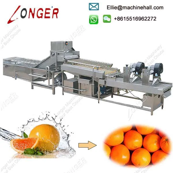 Automatic Fruit and Vegetable Washing and Drying Processing Line photo-2
